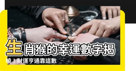 2023招財數字|【招財數字2023】「2023招財數字出爐！開運指南揭密，讓你財。